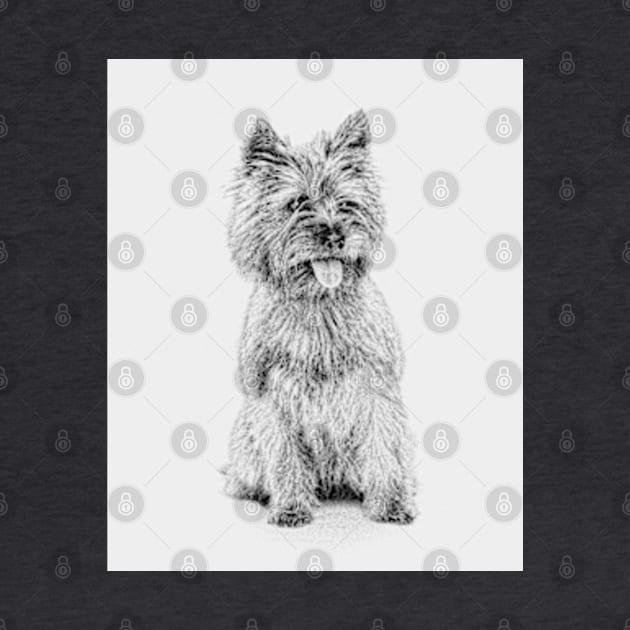 Cairn Terrier - 3a by Avalinart